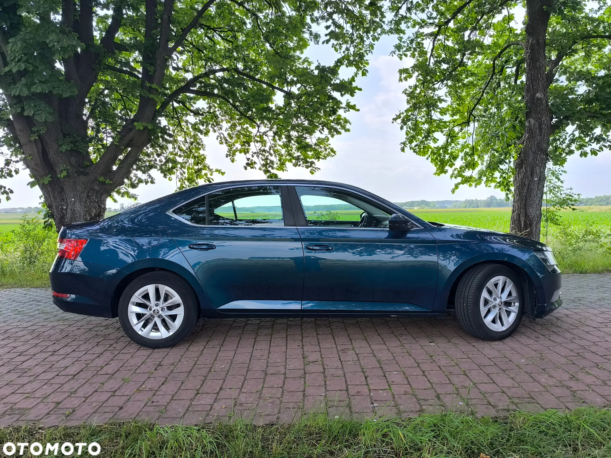 Skoda Superb - 6