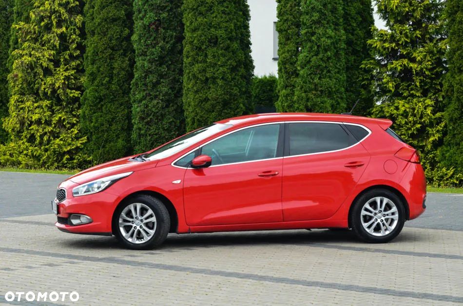 Kia Ceed 1.6 CRDi 128 Fifa World Cup Edition - 7