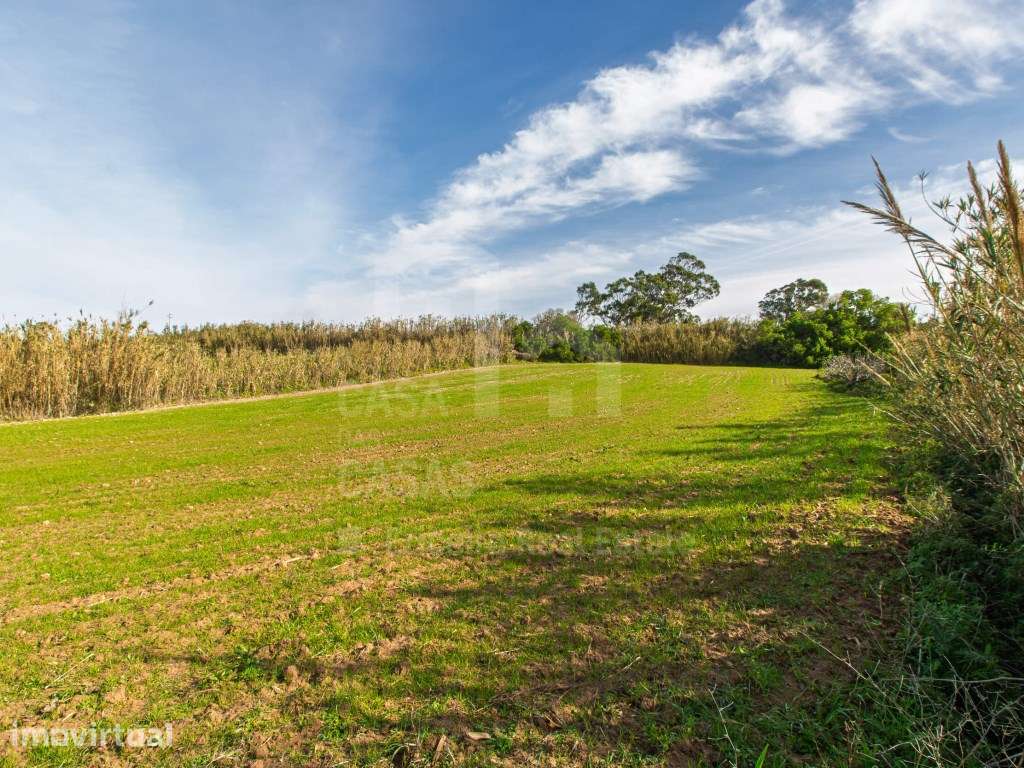 Vende Terreno - Ericeira 13 km, A Casa das Casas - Grande imagem: 3/11