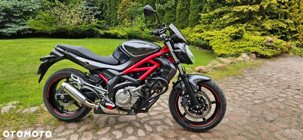 Suzuki Gladius - 1