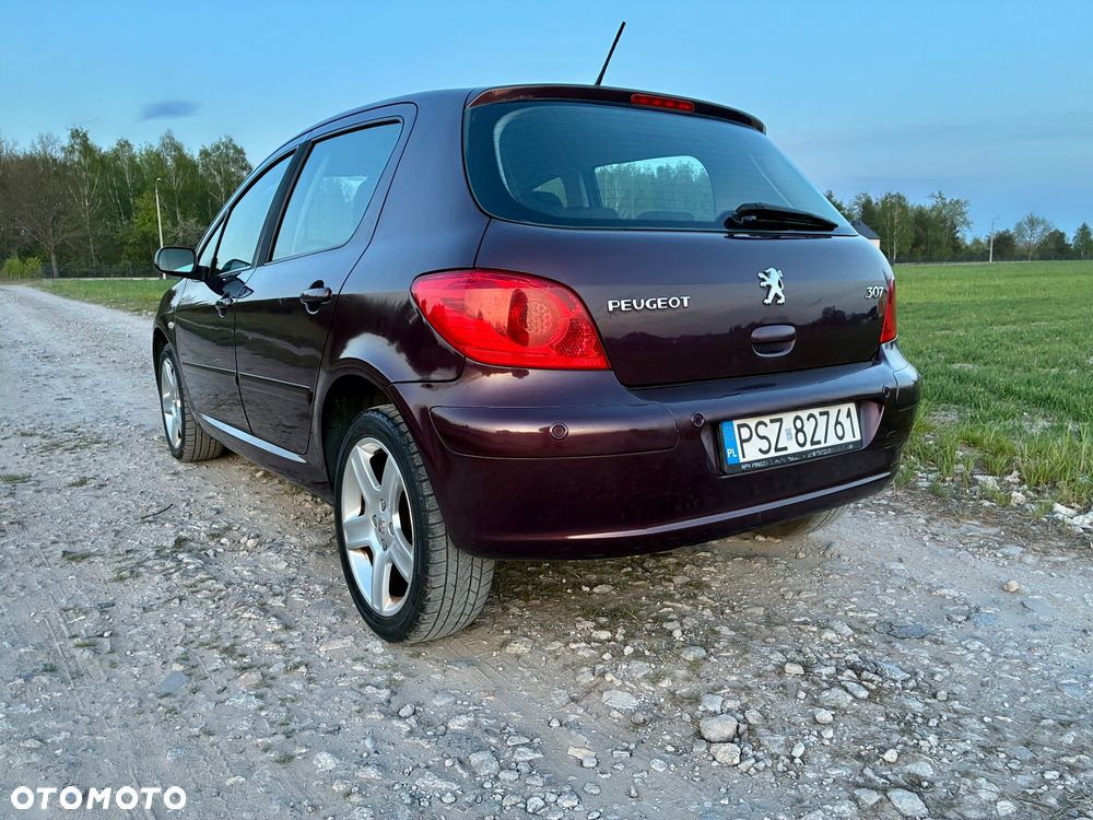 Peugeot 307 2.0 XT - 7