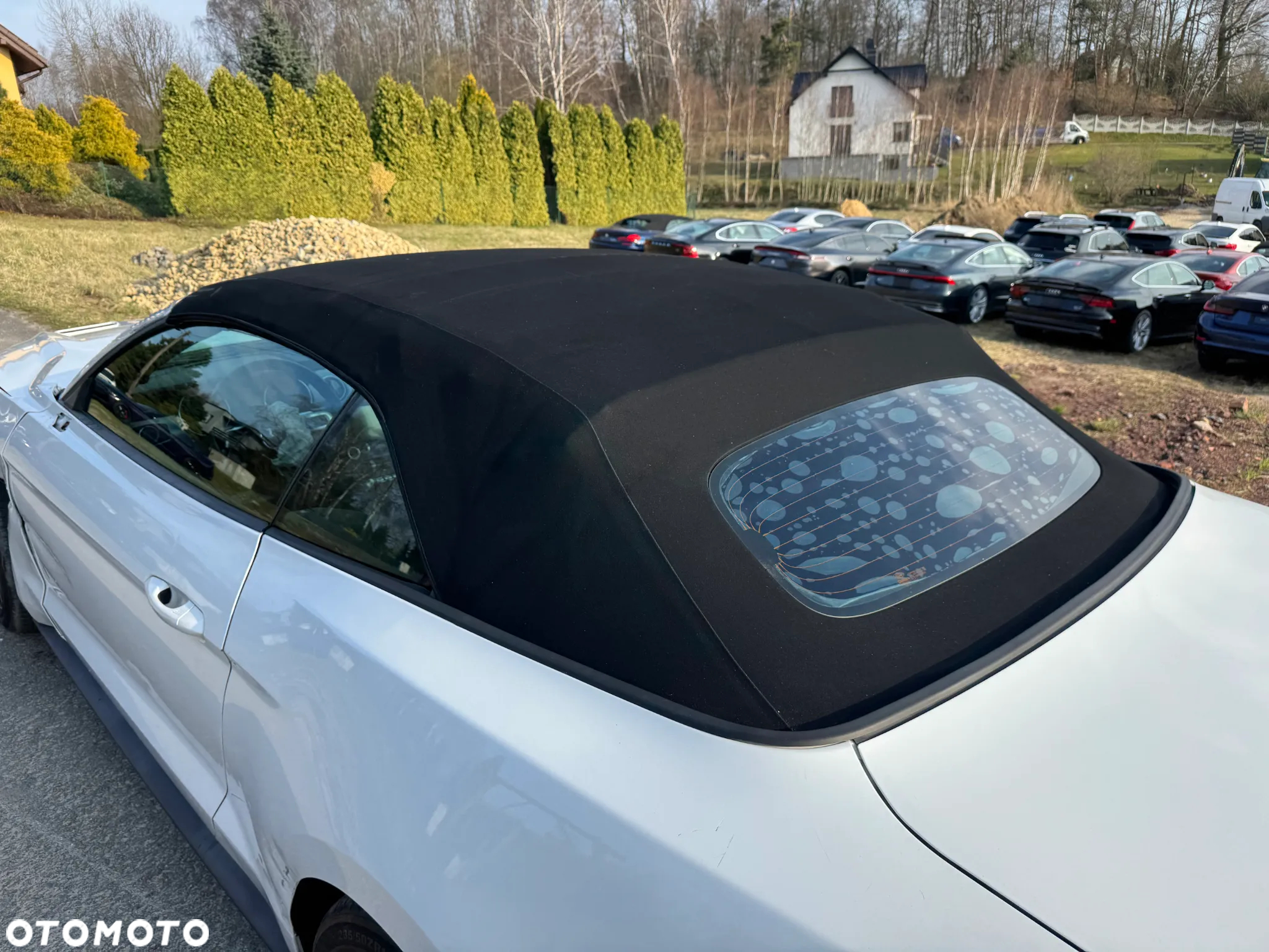 Ford Mustang Convertible 5.0 Ti-VCT V8 GT - 30