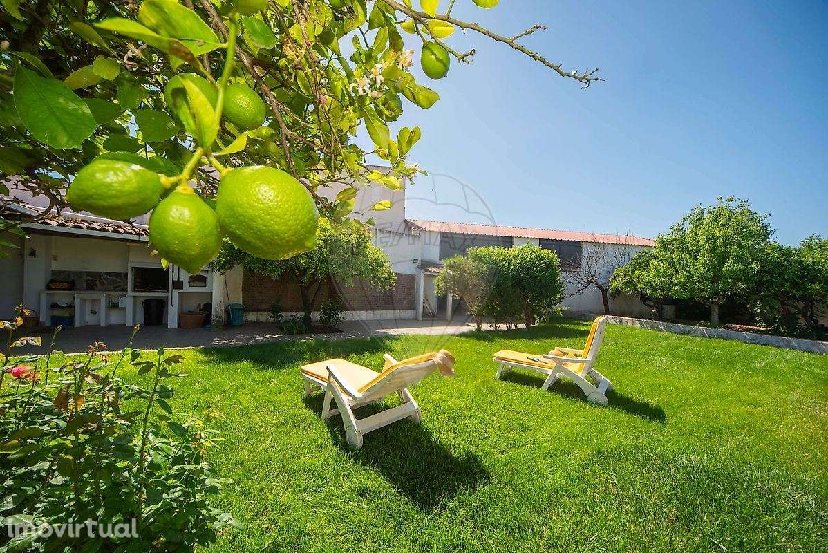 MORADIA T6 - VIDIGUEIRA - Grande imagem: 2/30