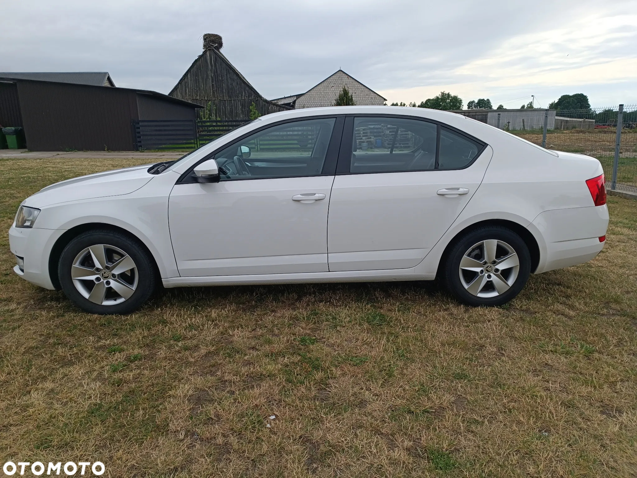 Skoda Octavia - 2