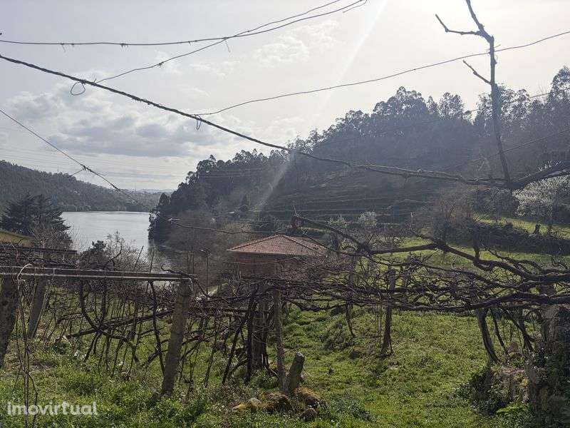 Quinta em Rio de Moinhos - Grande imagem: 3/7