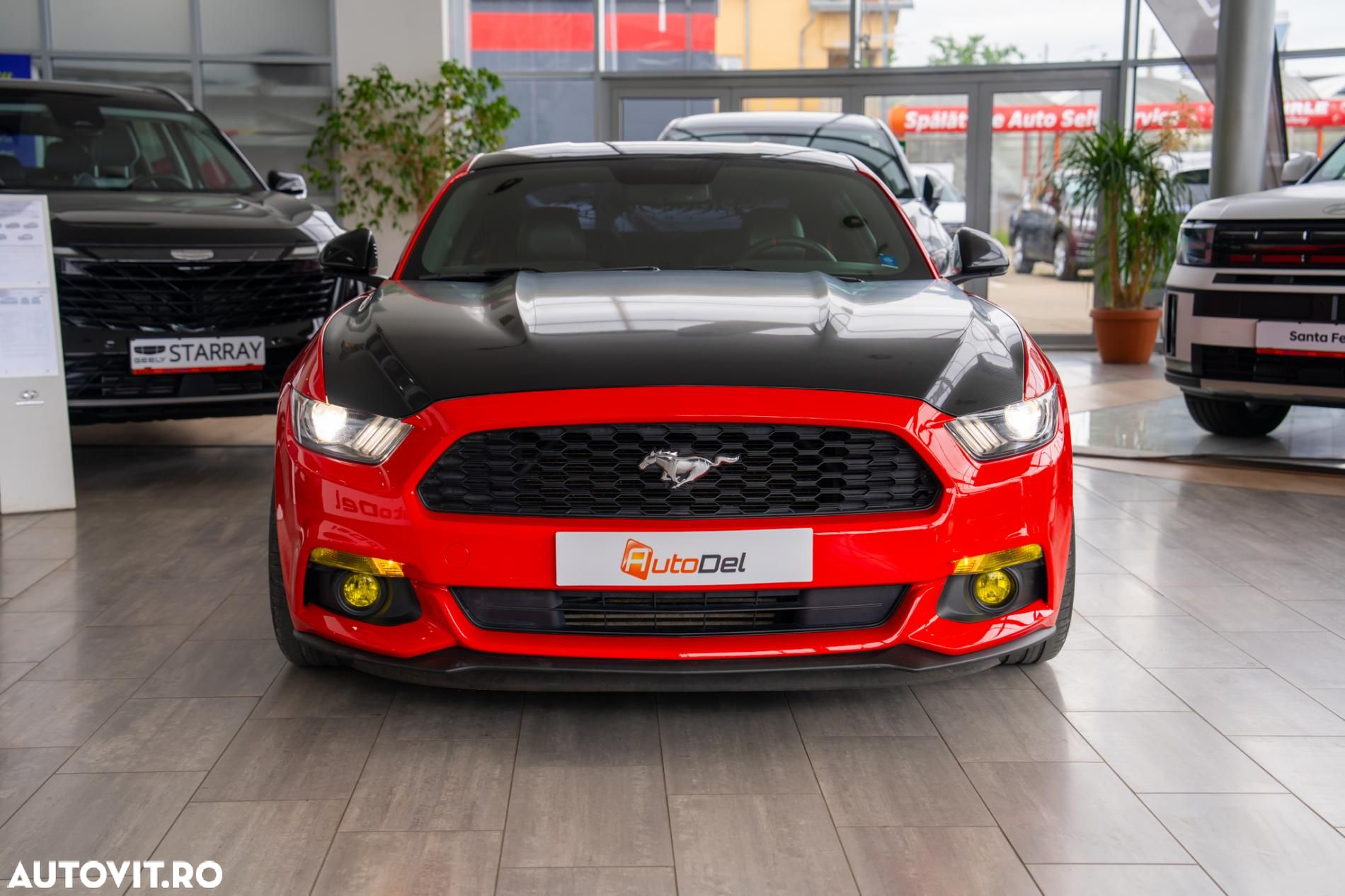Ford Mustang - 9
