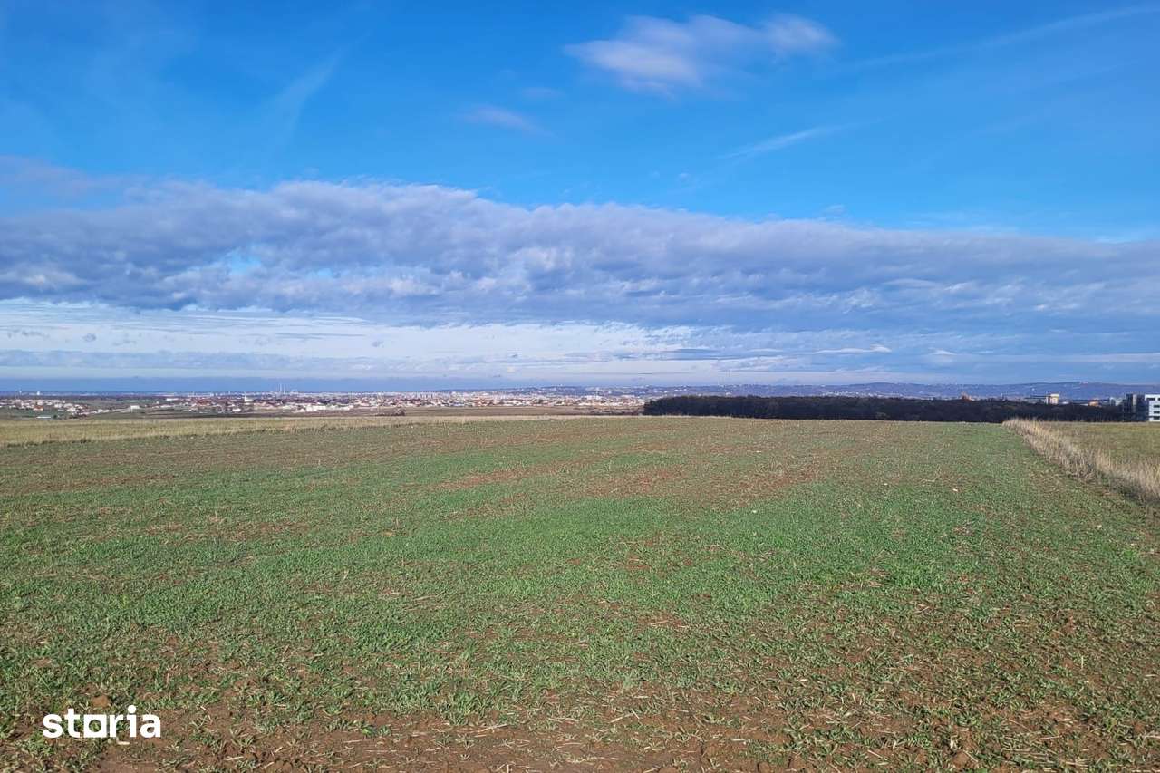 Teren intravilan  Cordau, Sanmartin - Imagine principală: 2/2