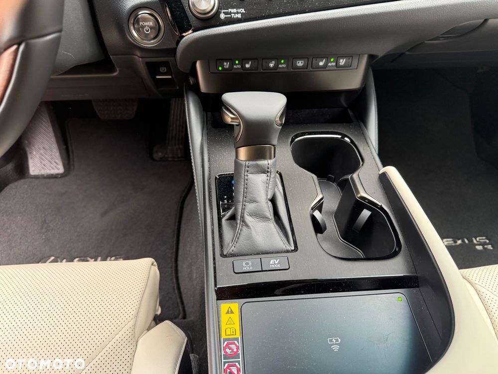 Lexus ES 300h Omotenashi - 14