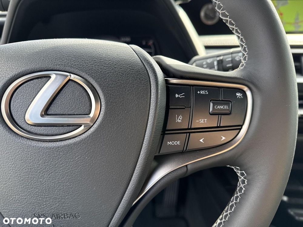 Lexus UX 250h GPF Business Edition 2WD - 13