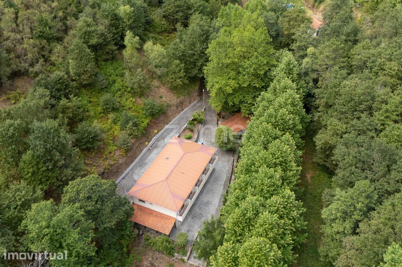 Quinta com Moínho e frente de Rio, Cabeceiras de Basto - Grande imagem: 5/60