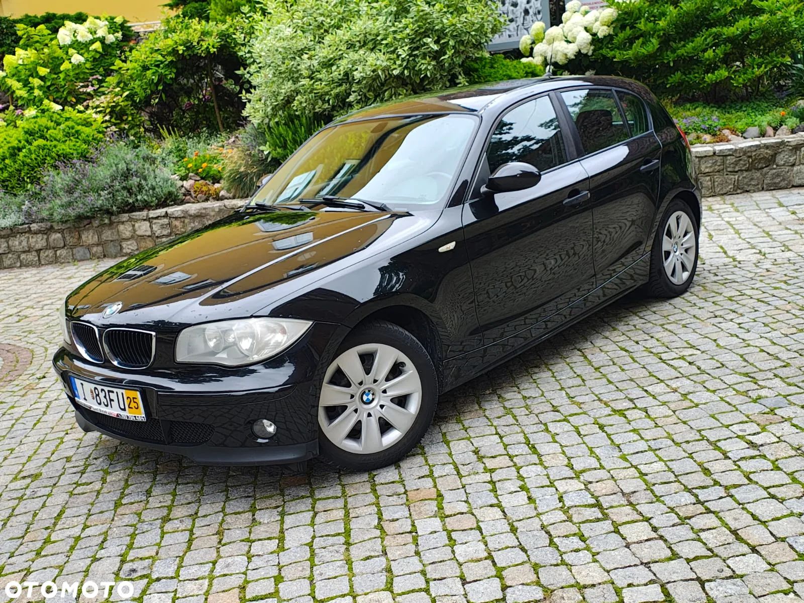 BMW Seria 1 116i - 1