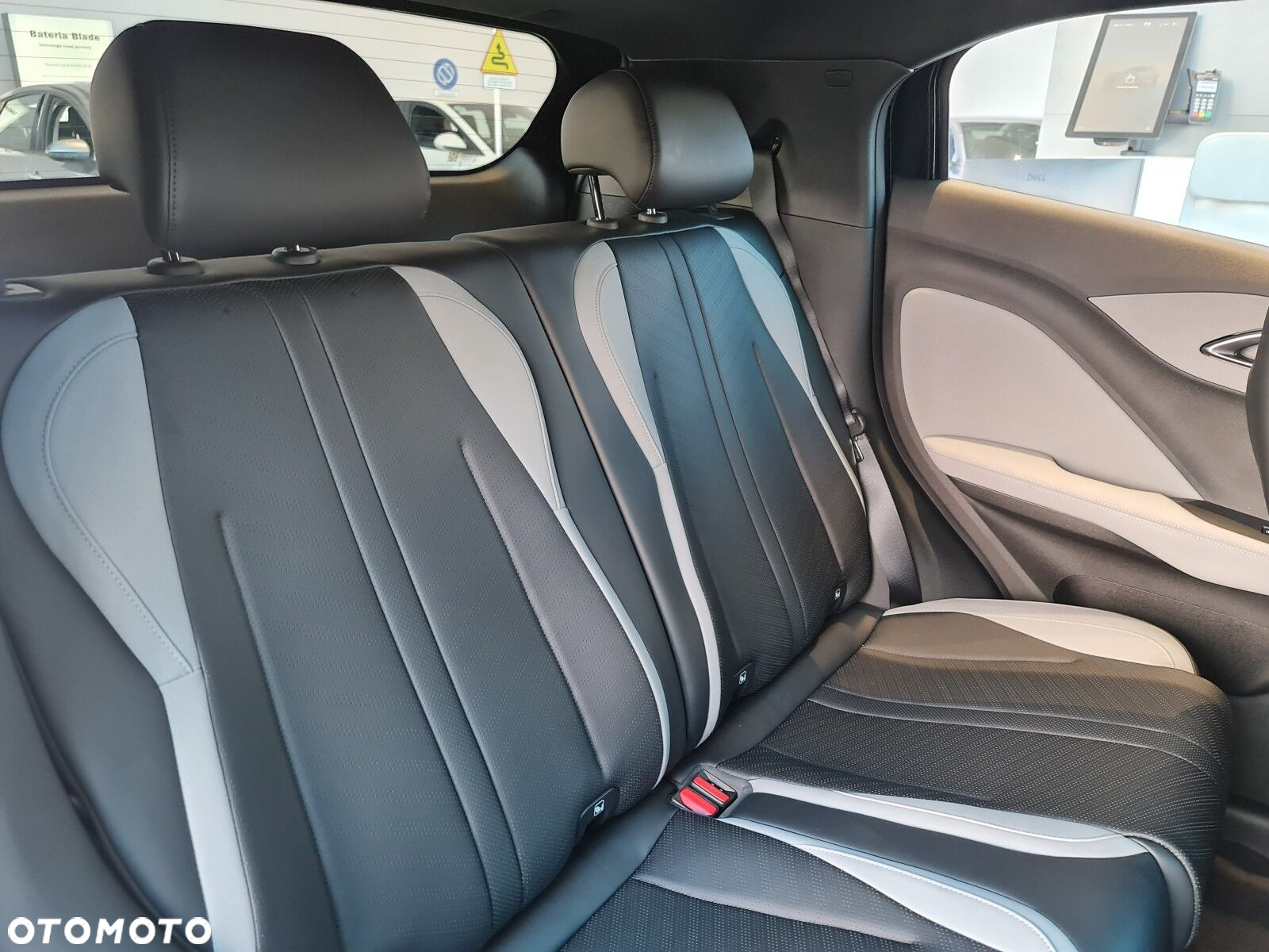 BYD Dolphin Surf - 26