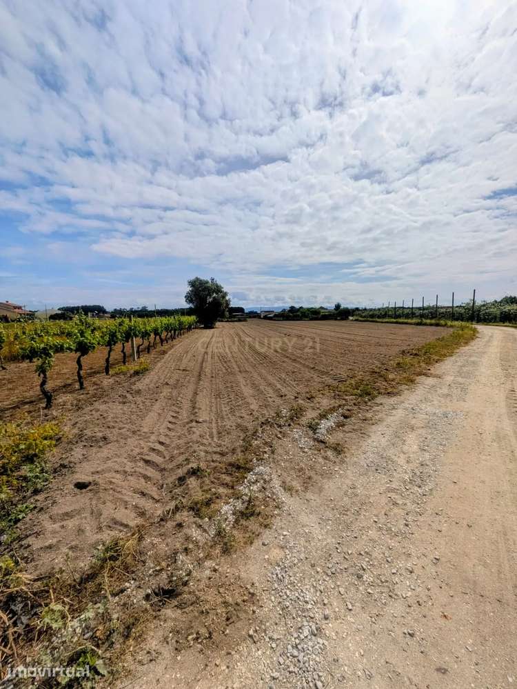 Excelente oportunidade de investimento! TERRENO URBANIZÁVEL - Grande imagem: 4/11