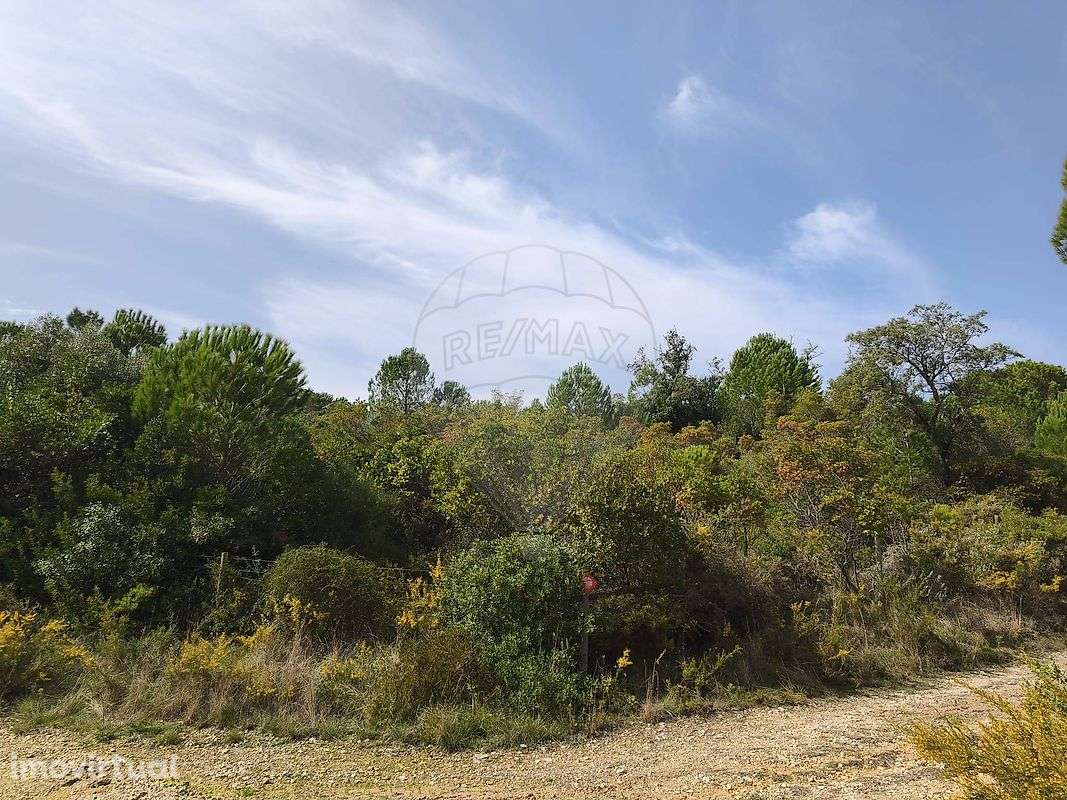 Terreno  para venda - Grande imagem: 3/19