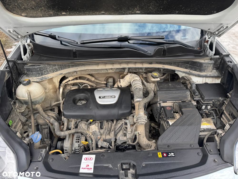 Kia Sportage 1.6 T-GDI L Business Line 4WD - 36