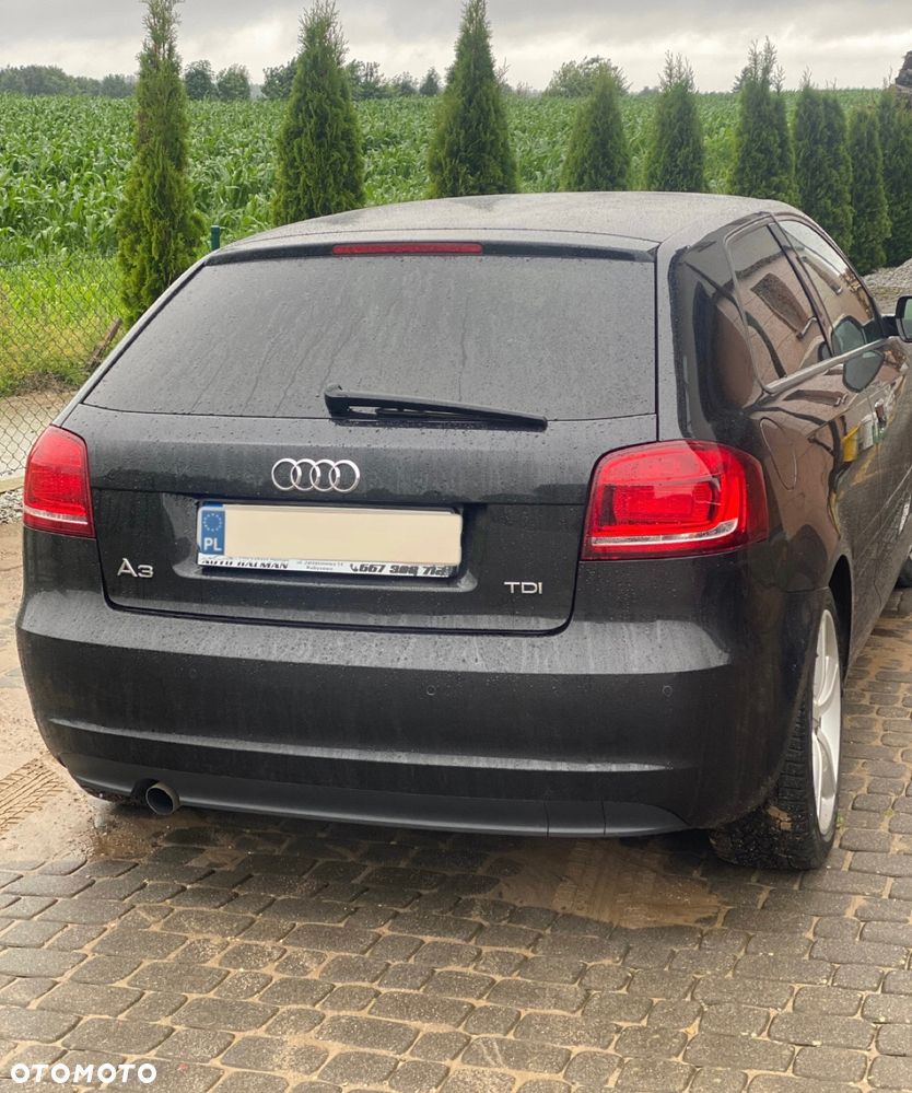 Audi A3 3-drzwiowe - 3