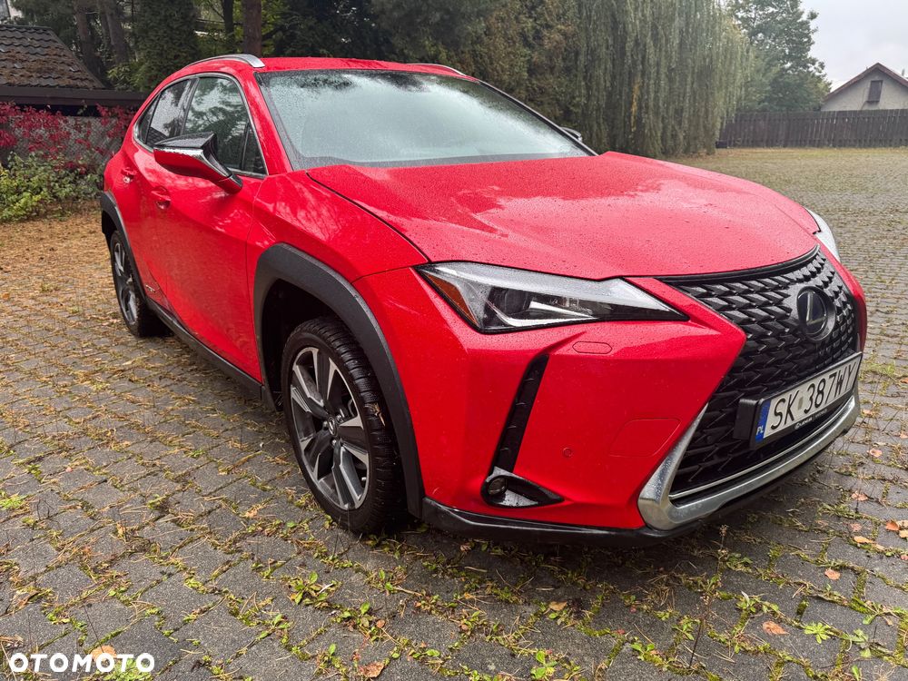 Lexus UX 250h GPF Business Edition 2WD - 5