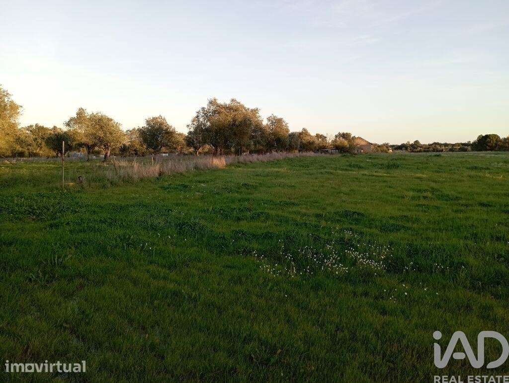 Terreno em Vale de Santarém de 43200,00 m2 - Grande imagem: 3/28