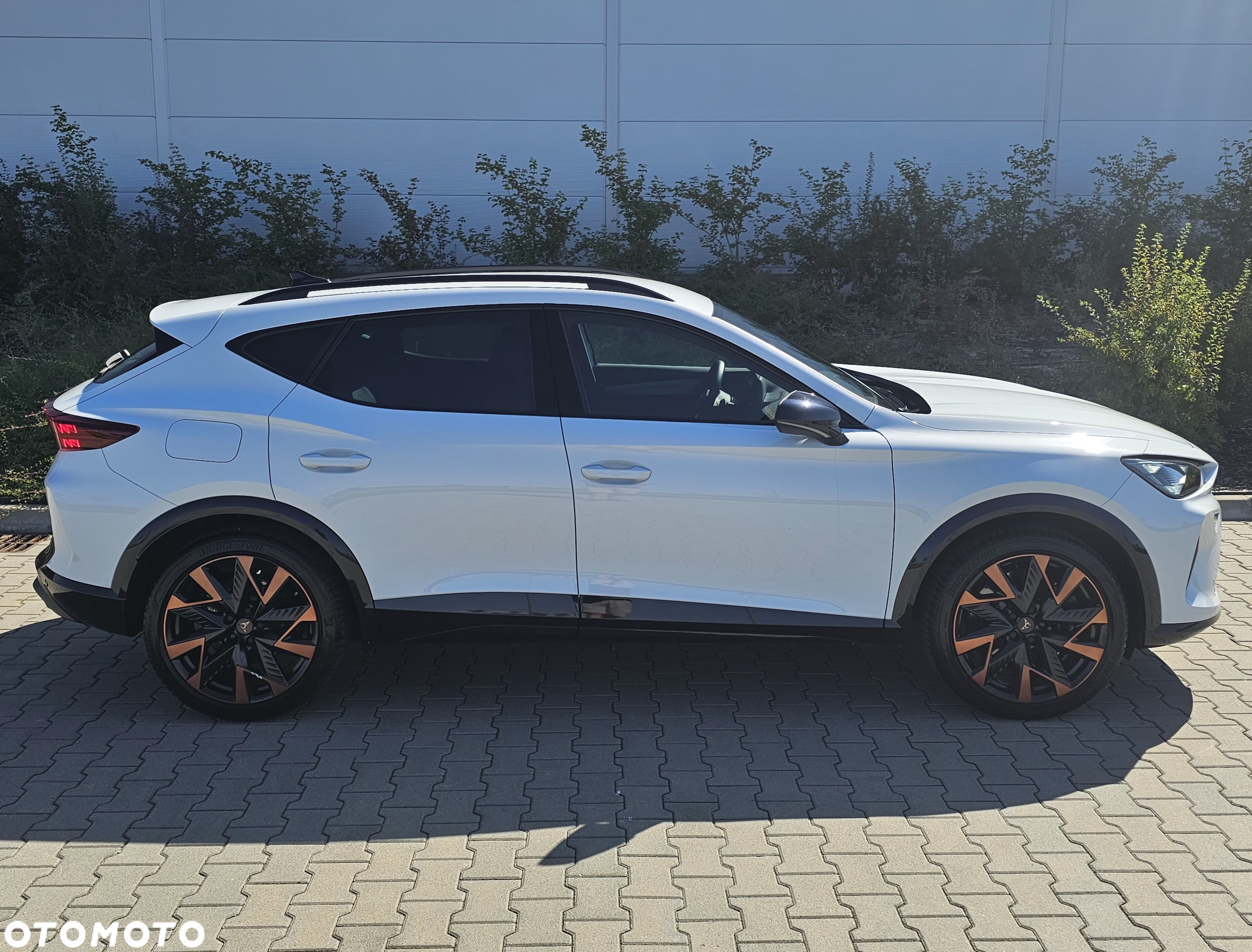 Cupra Formentor 2.0 TSI 4Drive VZ DSG - 4