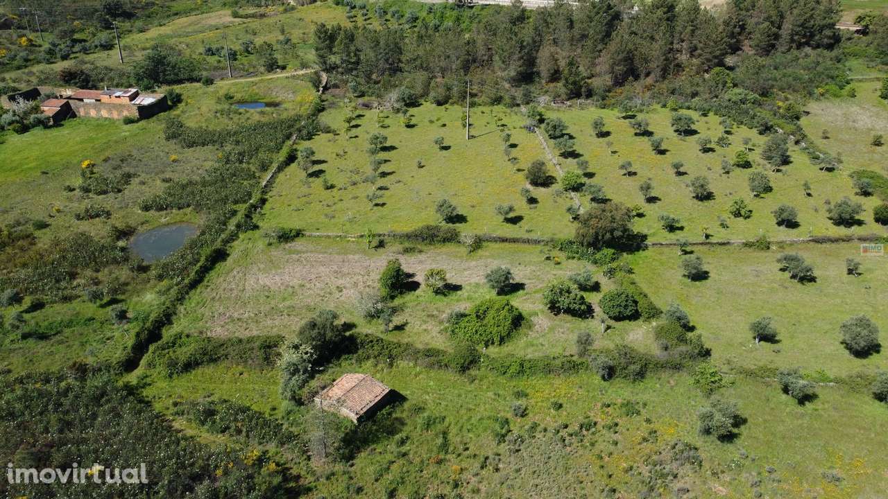 Quinta em Amarelos - 15 min. Castelo Branco - Grande imagem: 2/23