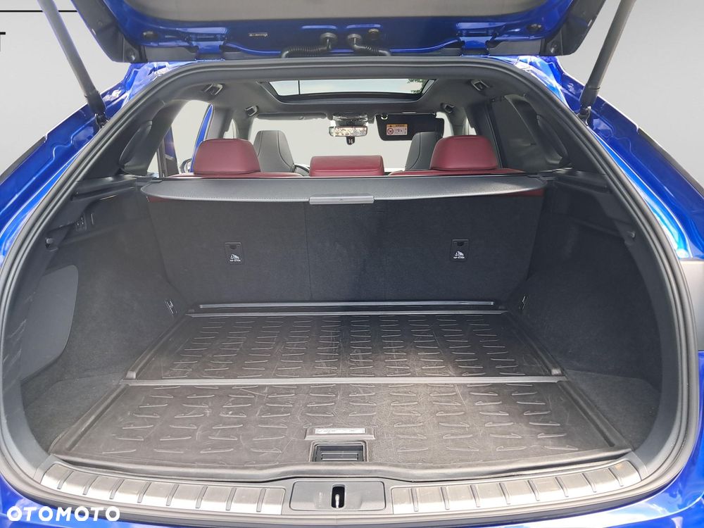 Lexus RX - 13