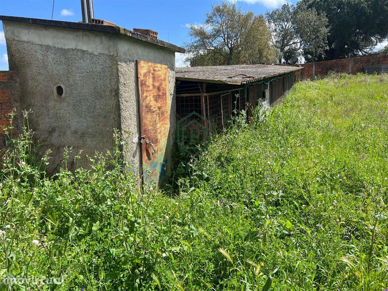 Terreno  Venda em Vendas Novas,Vendas Novas - Grande imagem: 4/9