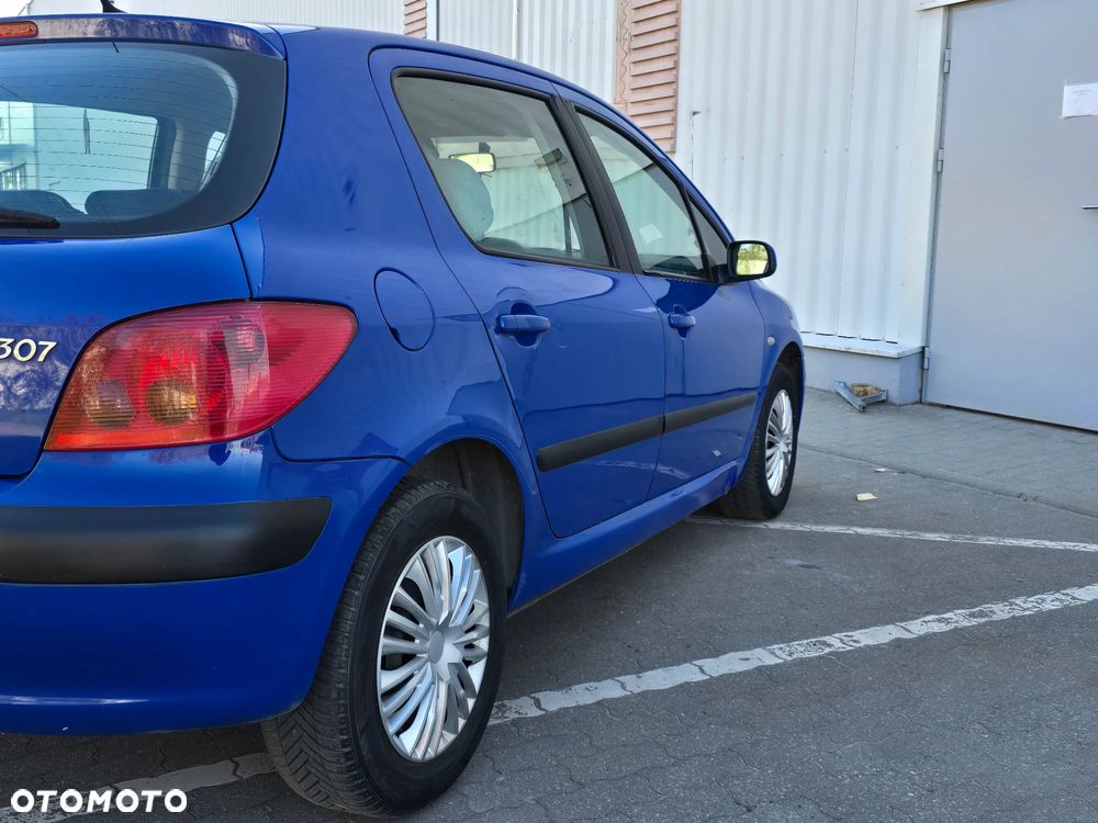 Peugeot 307 - 21
