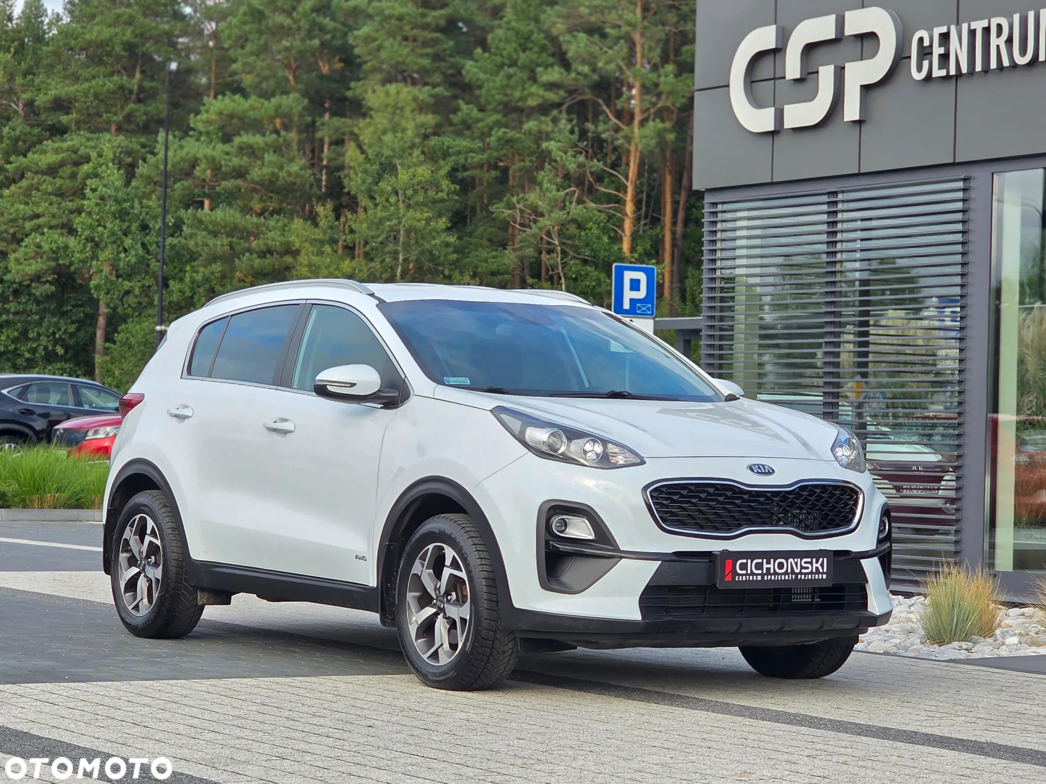 Kia Sportage 1.6 CRDI L Business Line 4WD - 29