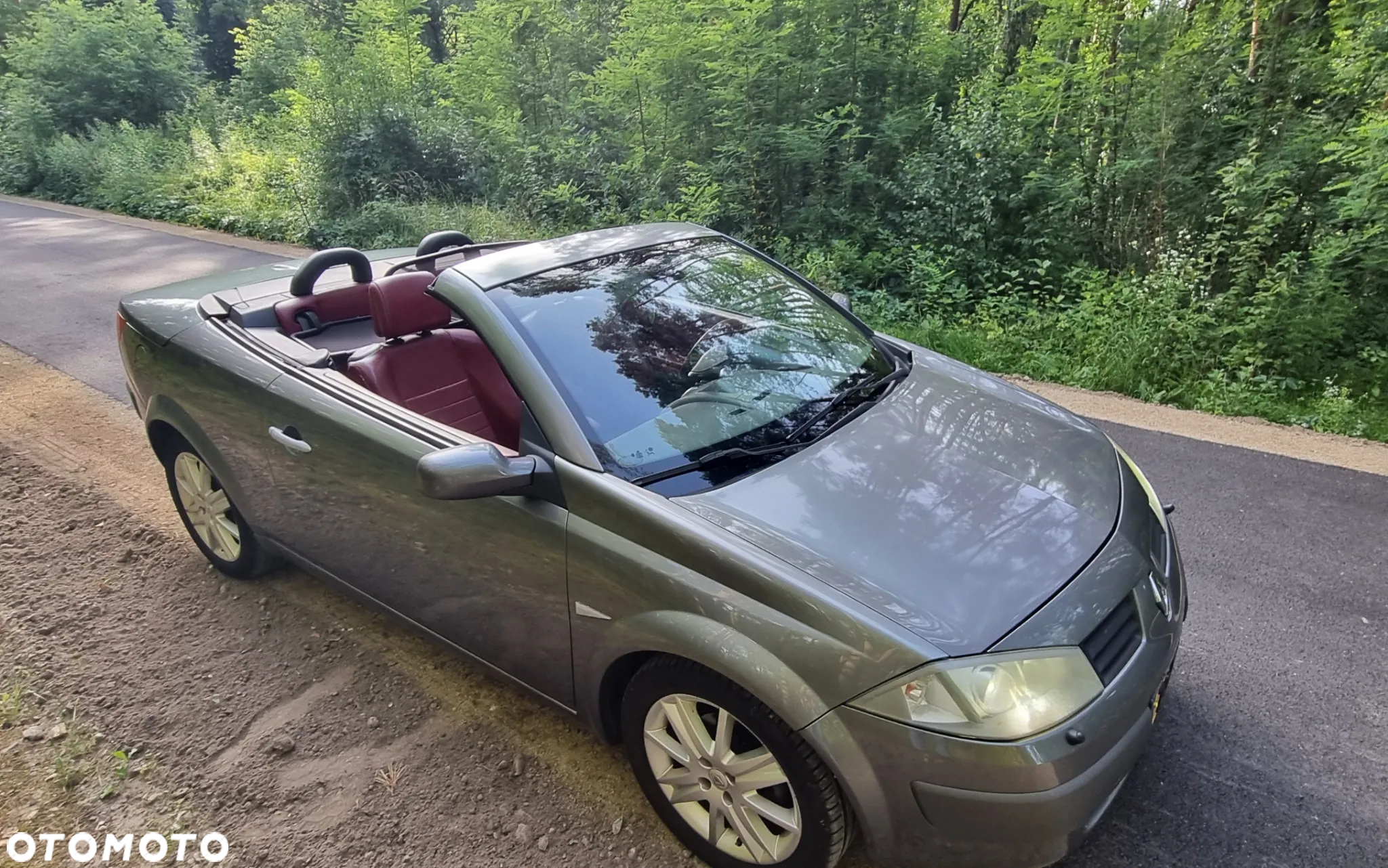Renault Megane CC 2.0 16V Privilege - 9