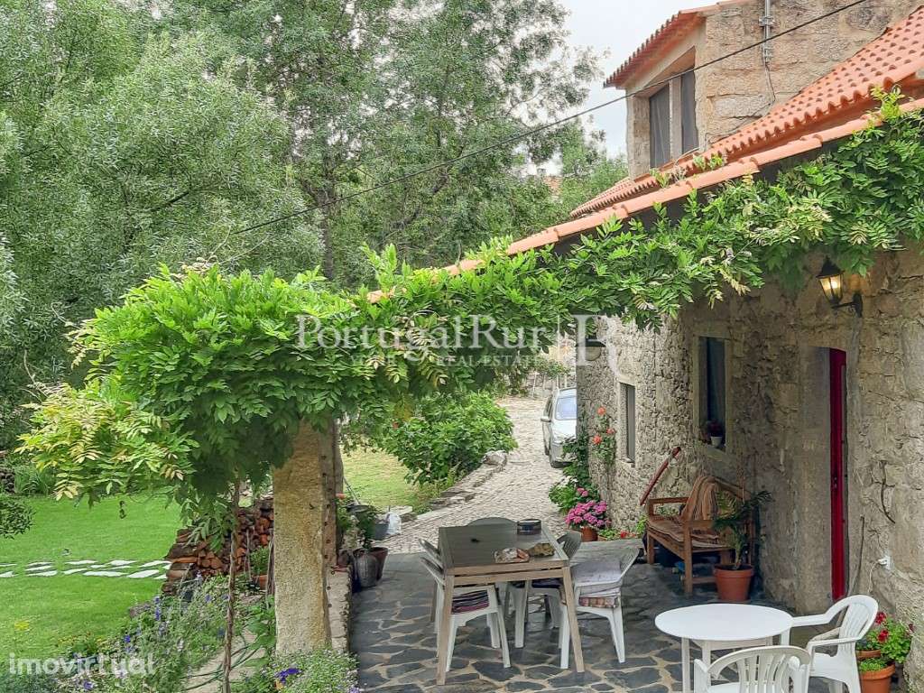 Quinta Rural 8.000 m2 - 2 Casas Habitáveis - confina com Ribeira - Grande imagem: 5/33