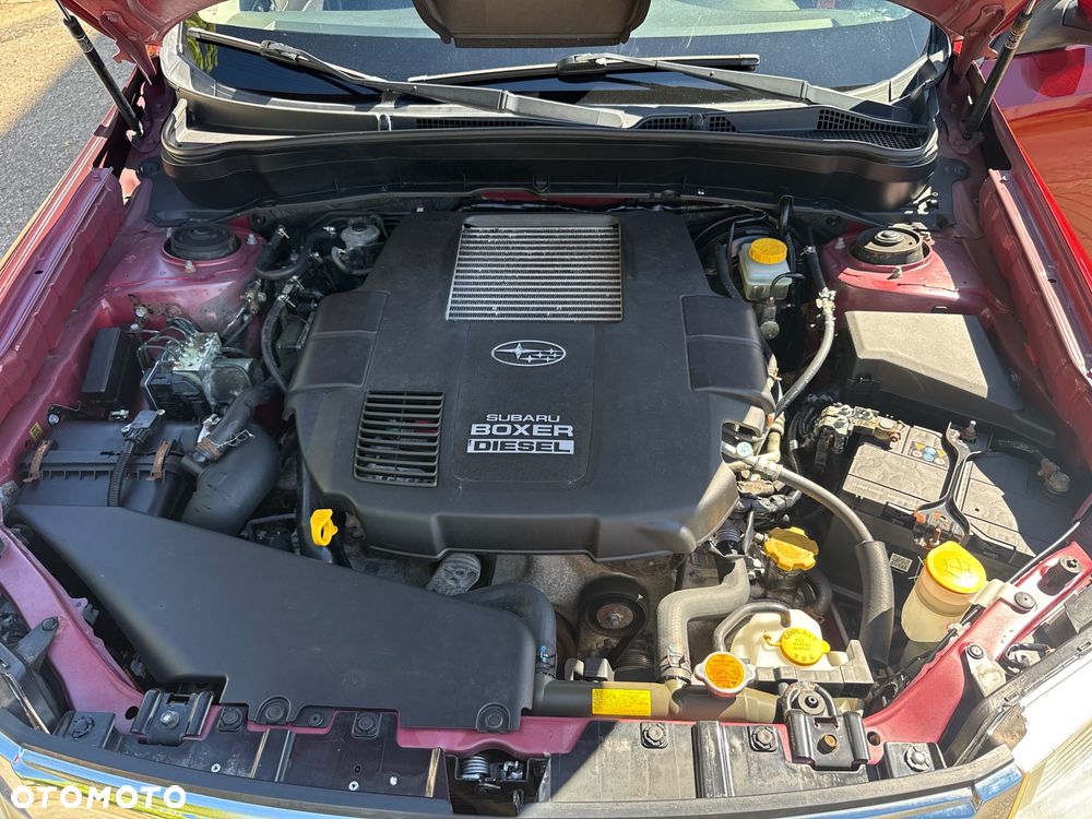 Subaru Forester - 35