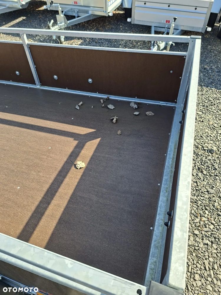 Blyss Krakus Wzmacniany - 5