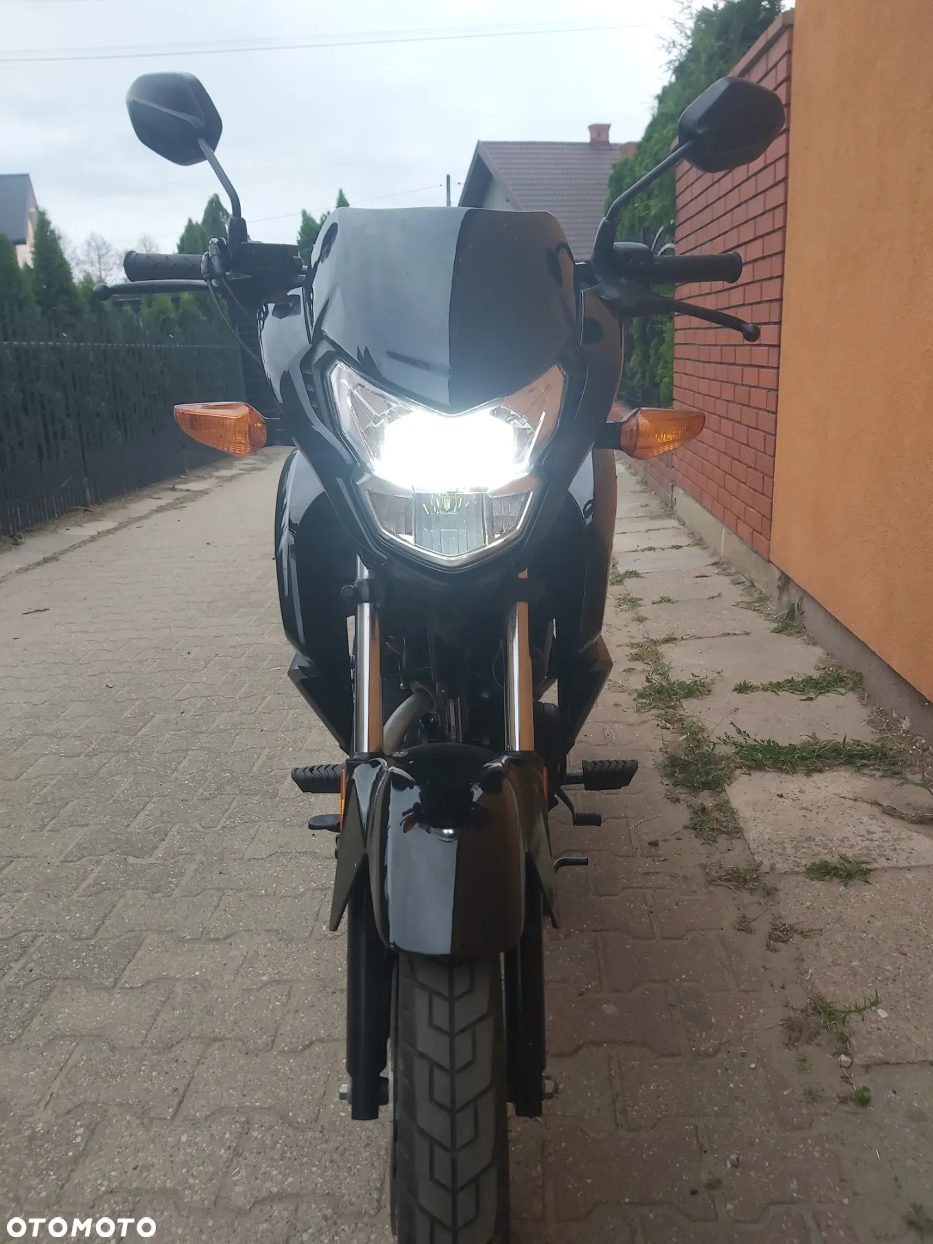 Honda CBR - 17