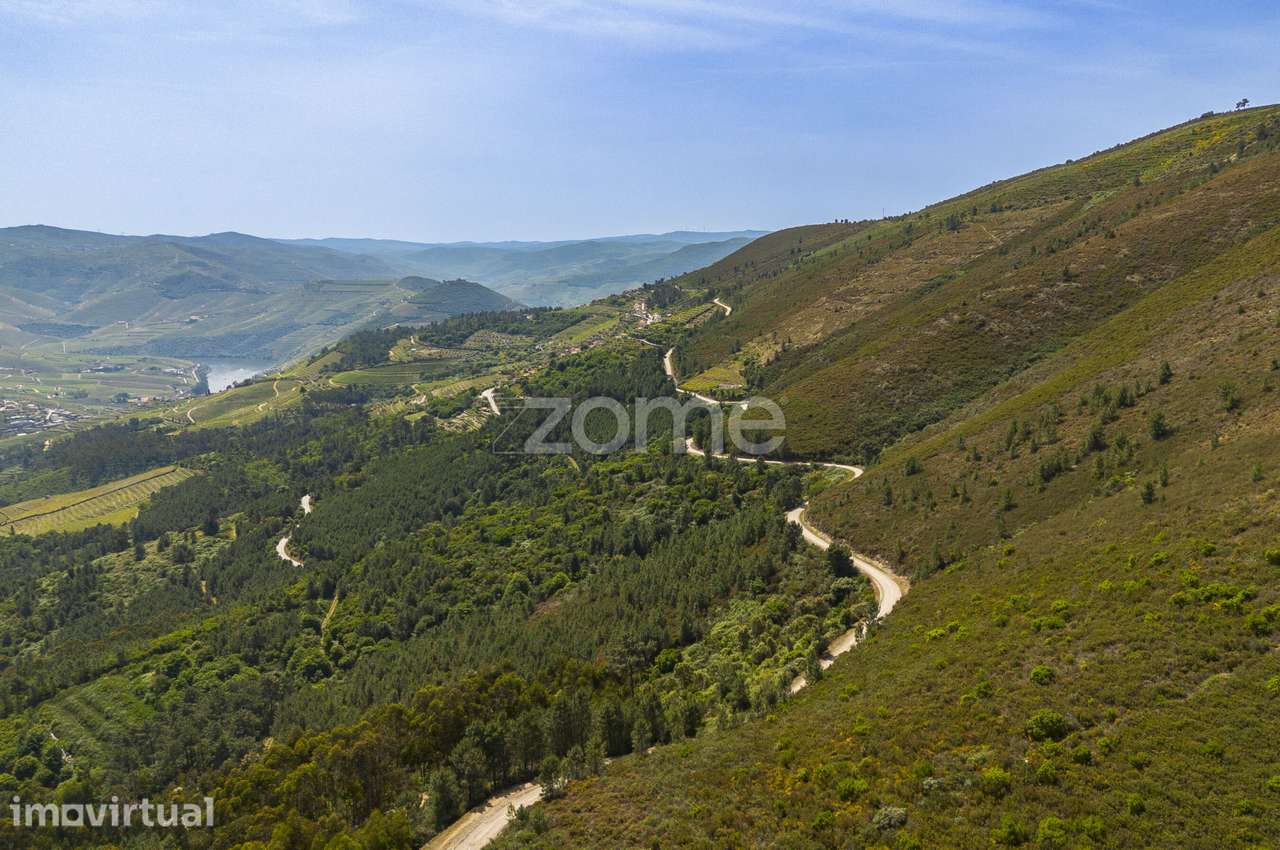 Quinta das Beatas, Gouvães do Douro - Grande imagem: 2/20