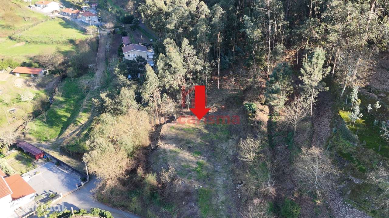 Terreno para construção com 1.450m2 em São Mamede de Negrelos, Santo T - Grande imagem: 2/6