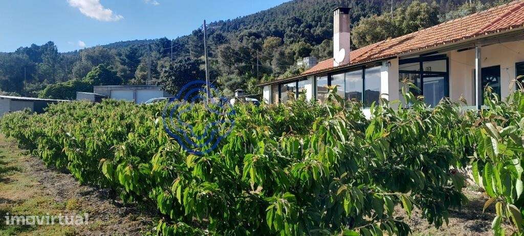 Refúgio Rural com Vista para a Serra - Grande imagem: 4/17