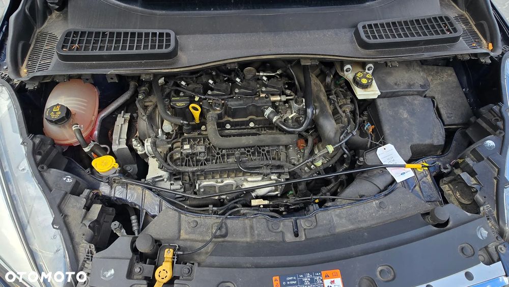 Ford Kuga 1.5 EcoBoost FWD Trend - 25