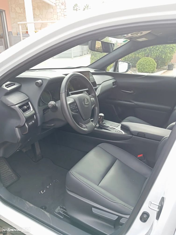 Lexus UX 250h F Sport+ - 18