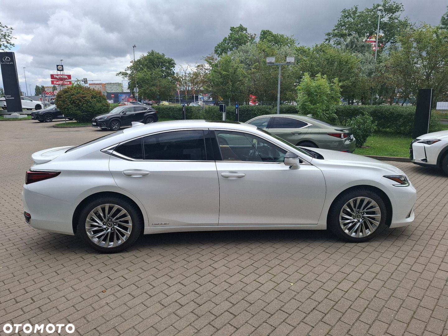 Lexus ES 300h Omotenashi - 6