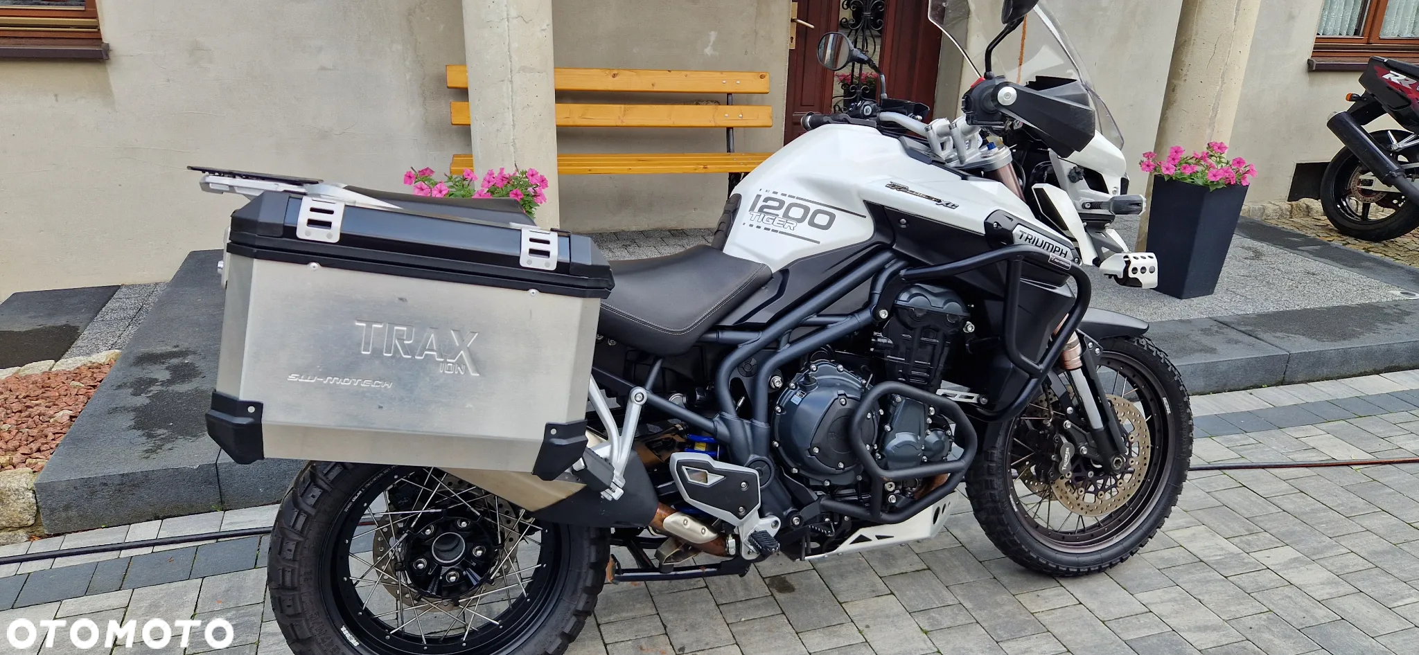 Triumph Tiger - 5