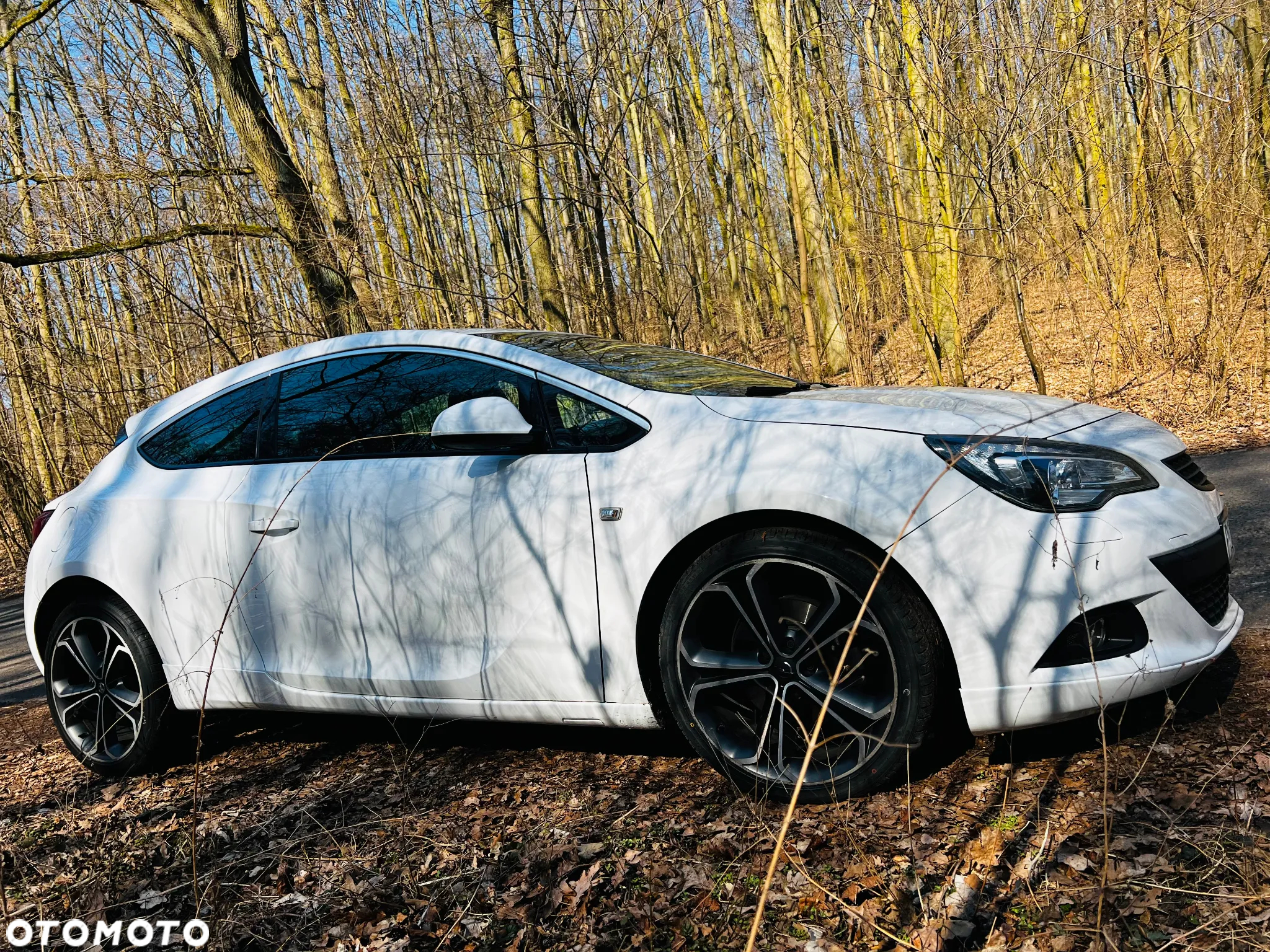 Opel Astra IV GTC 2.0 CDTI Sport S&S - 10