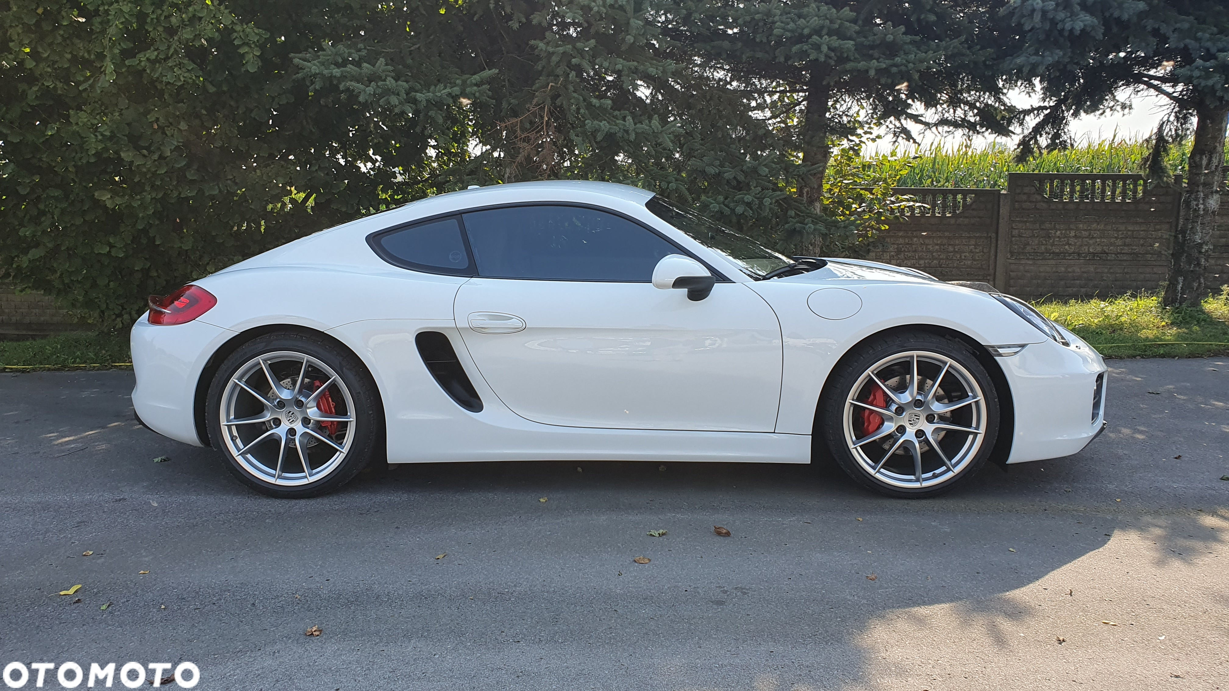 Porsche Cayman GTS PDK - 3