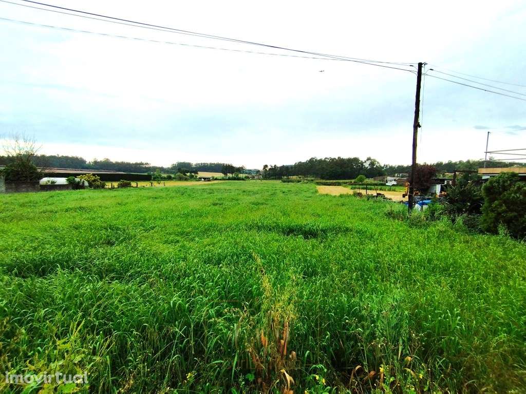 Terreno Rústico com 4400m2 para construção - Grande imagem: 5/16