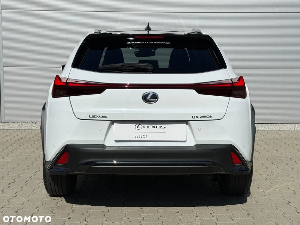 Lexus UX 250h GPF F Sport Design+ 2WD - 18