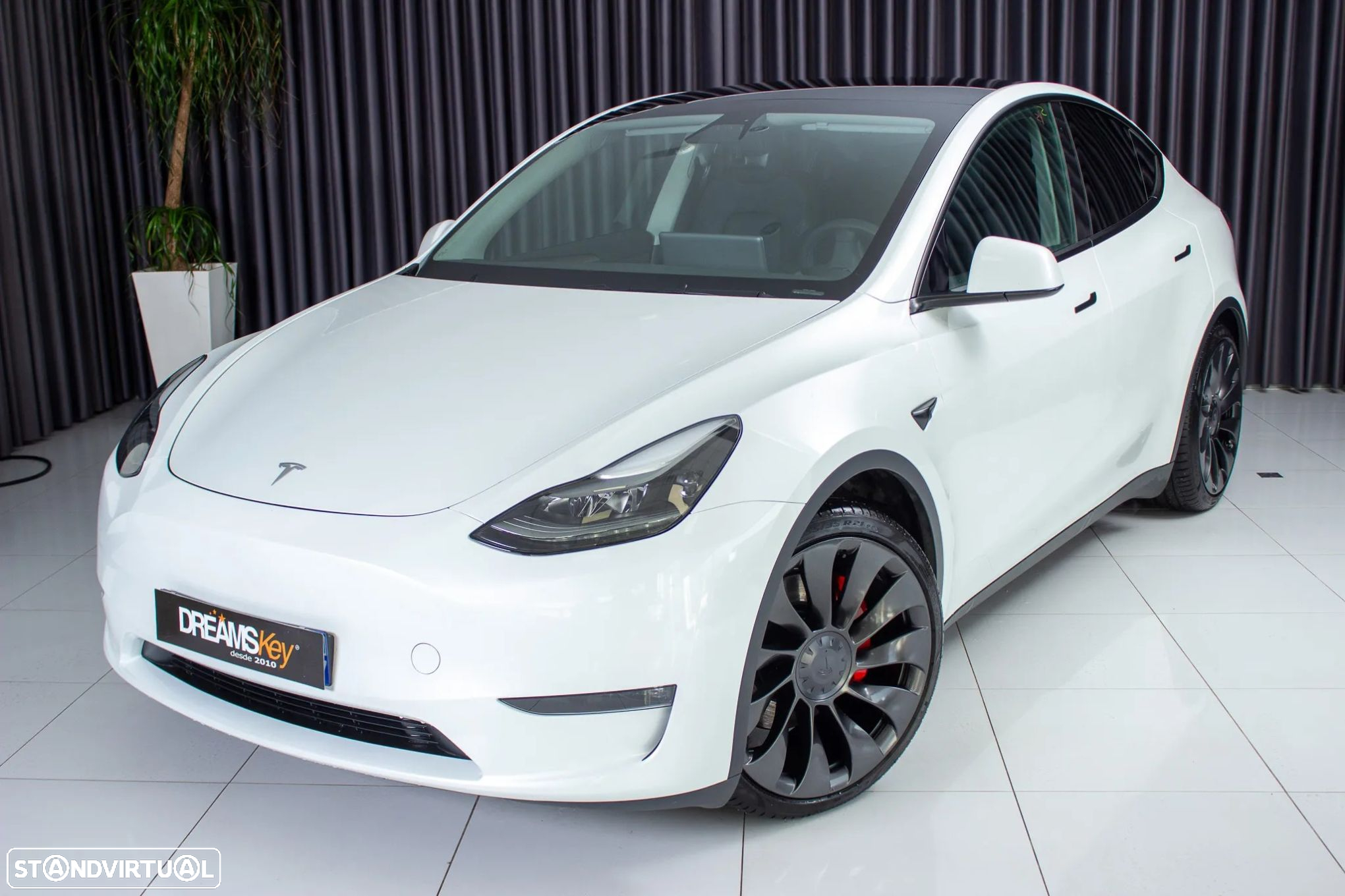 Tesla Model Y Performance Dual Motor AWD - 22