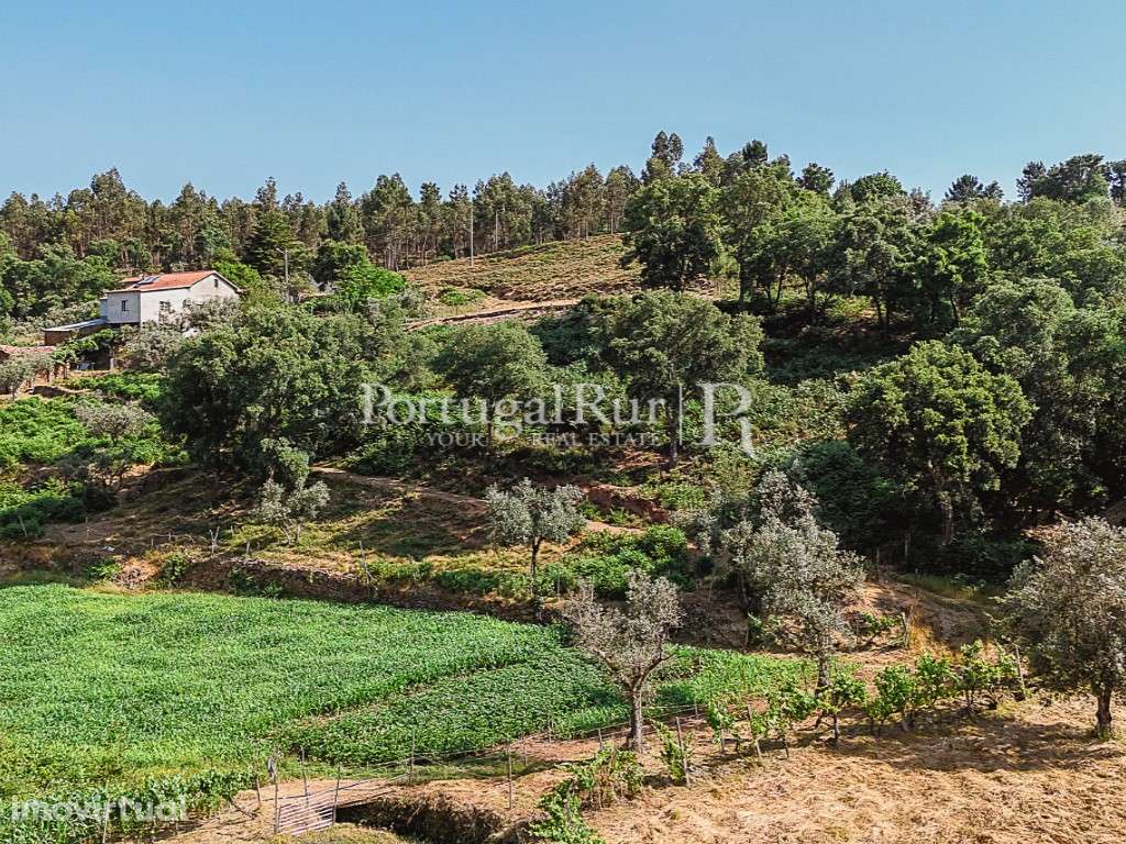 Quinta de 30.000m2 com ruínas e poços na Sertã - Grande imagem: 5/32