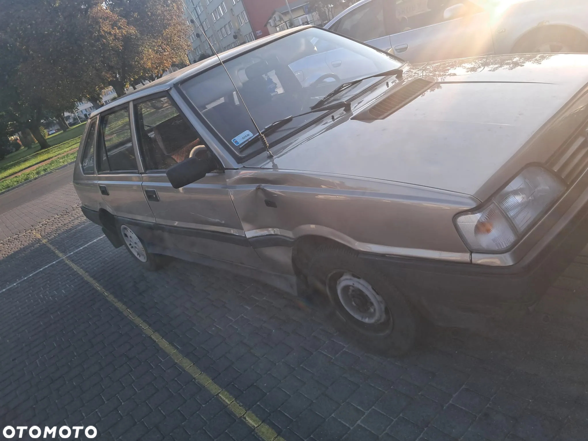 Polonez Caro - 10