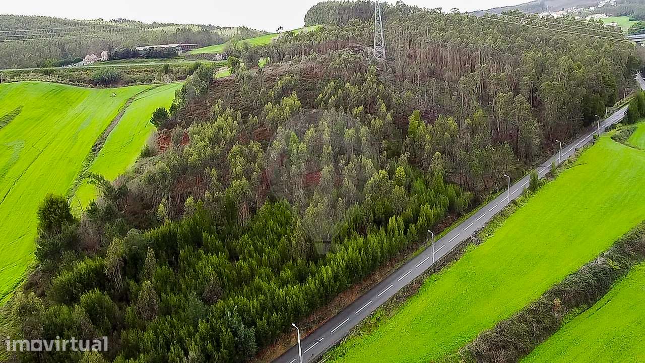 Terreno  para venda - Grande imagem: 5/13