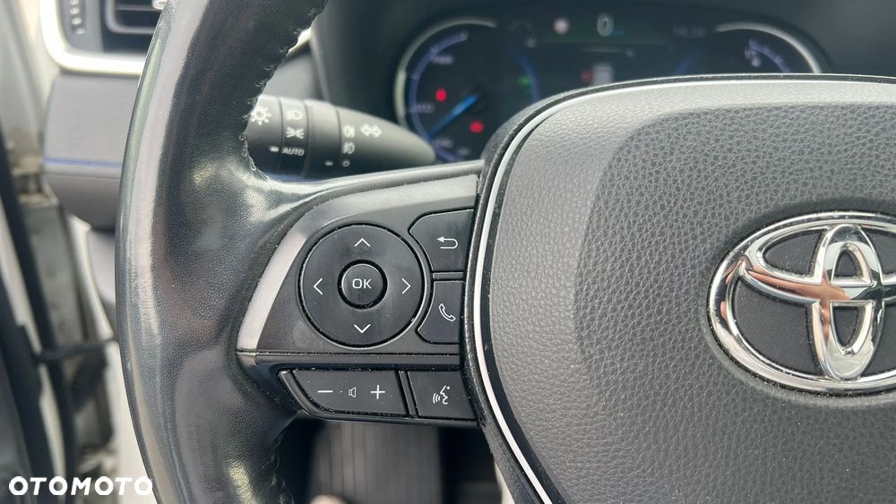 Toyota RAV4 2.5 Hybrid Selection 4x2 - 15