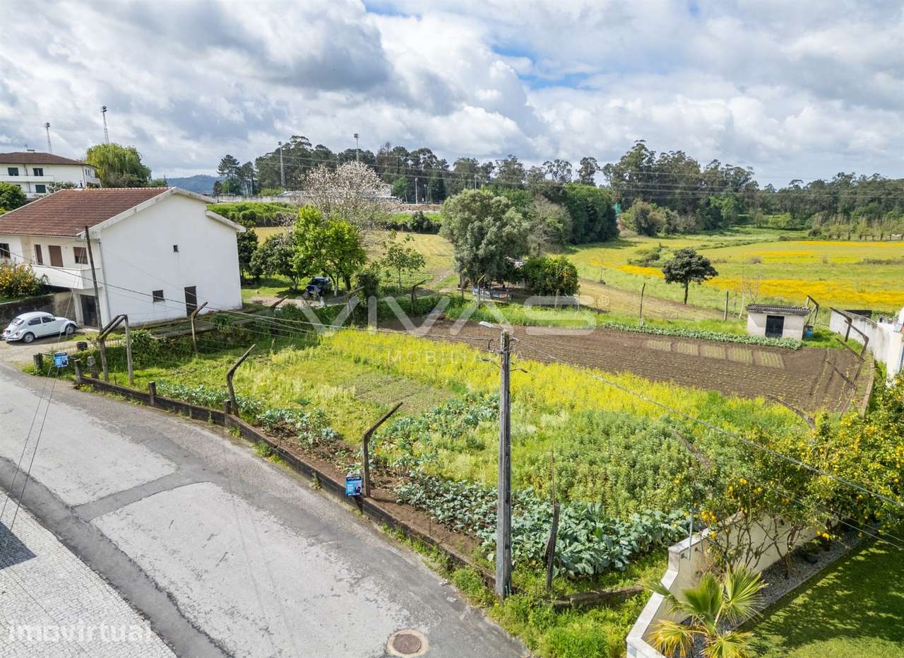 Terreno Para Construção  Venda em Ferreiros, Prozelo e Besteiros,Amare - Grande imagem: 3/15